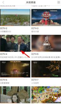 珠江台爆料节目视频回放,视频回放背后的惊人真相