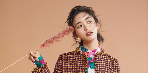 娱乐爆料沈月简介